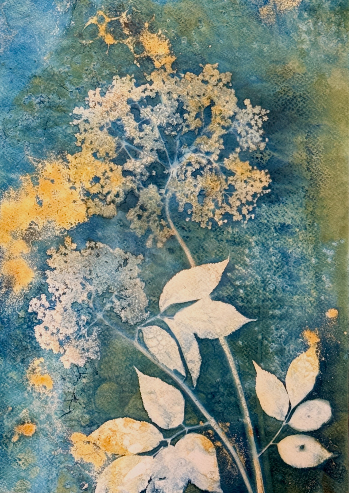 Cyanotype av Trine Gomsrud Nyfelt.