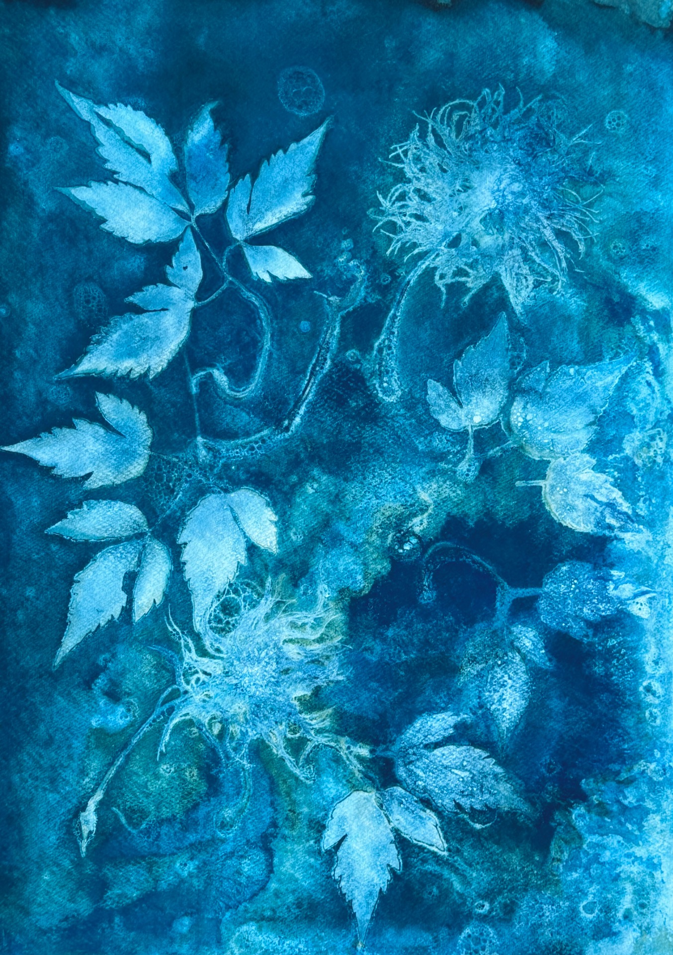 Cyanotype av Trine Gomsrud Nyfelt