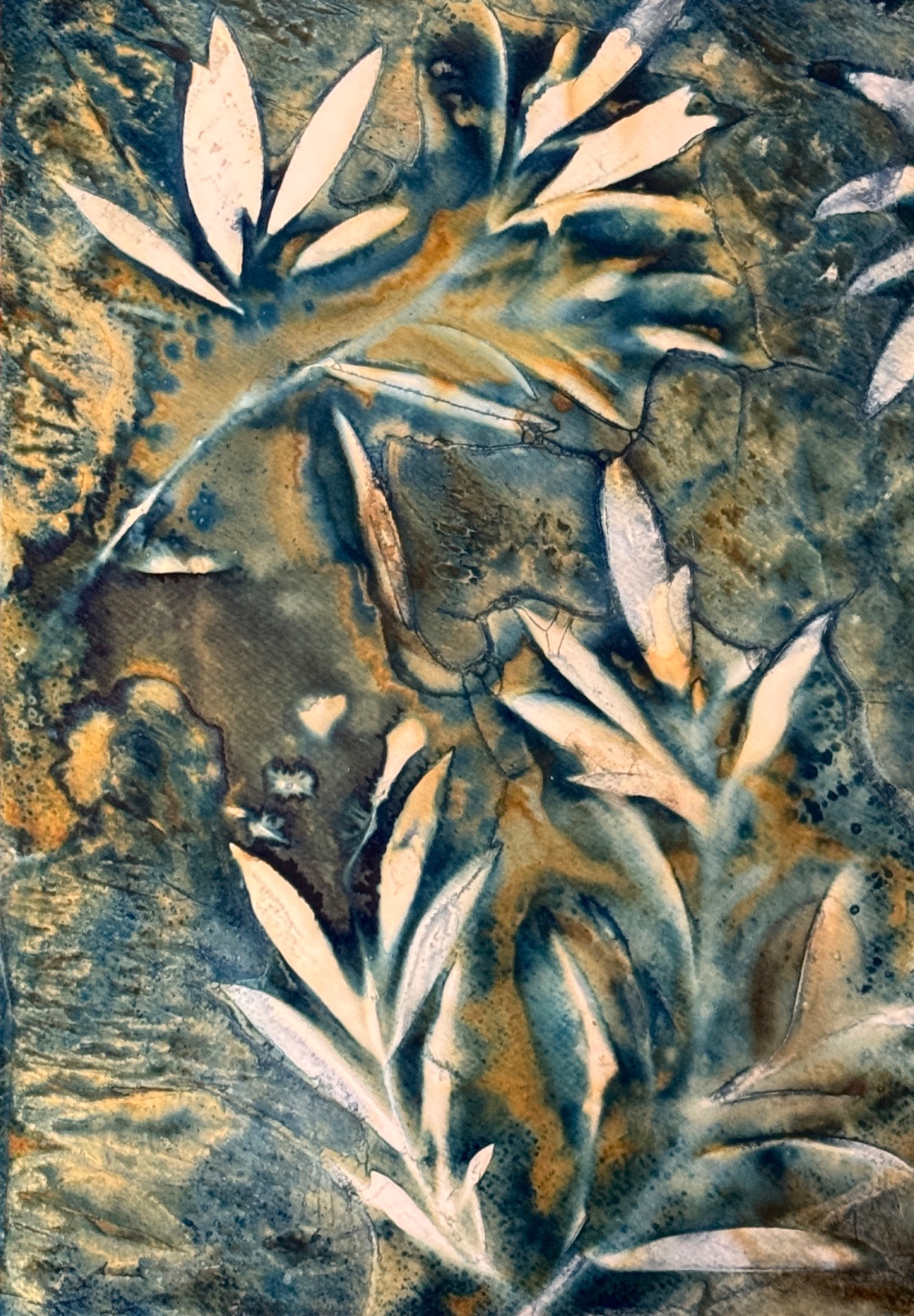 Cyanotype av Trine Gomsrud Nyfelt.